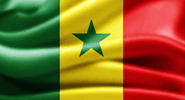 <p>السنغال</p> flag