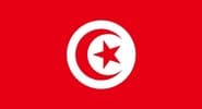 <p>تونس</p> flag