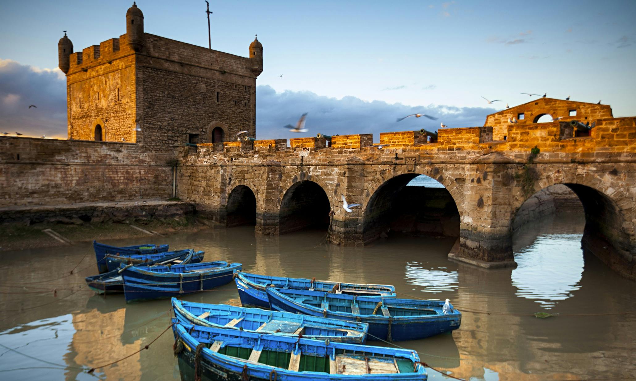 EST Essaouira : accès aux DUT       